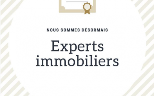 expert immobilier